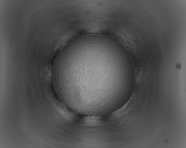 X0000091510179200708241636