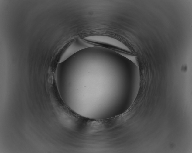 X0000091510180200708241636