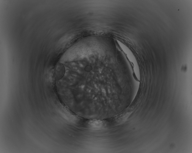 X0000091510181200708241636