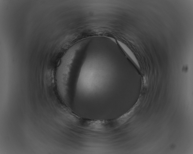 X0000091510182200708241636