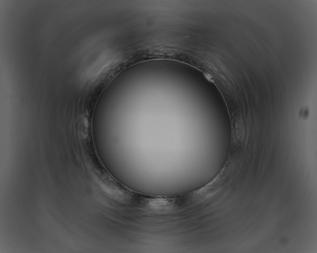 X0000091510183200708241636