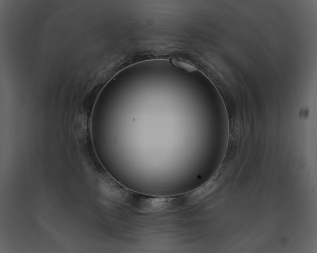 X0000091510184200708241636