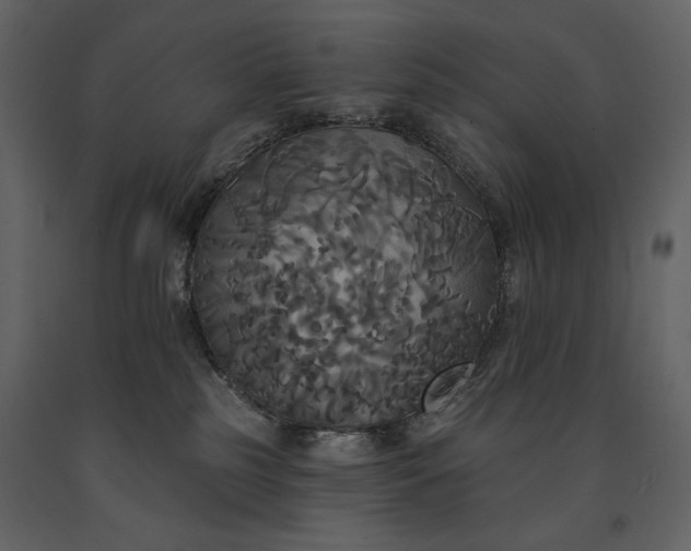 X0000091510185200708241636