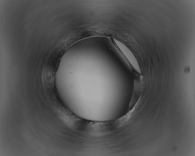 X0000091510186200708241636