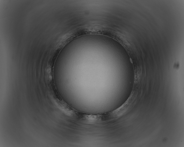 X0000091510187200708241636