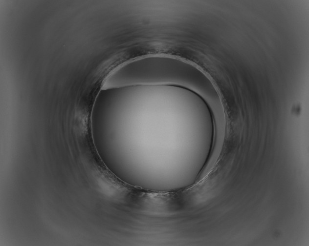 X0000091510188200708241636