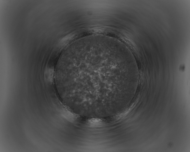 X0000091510189200708241637