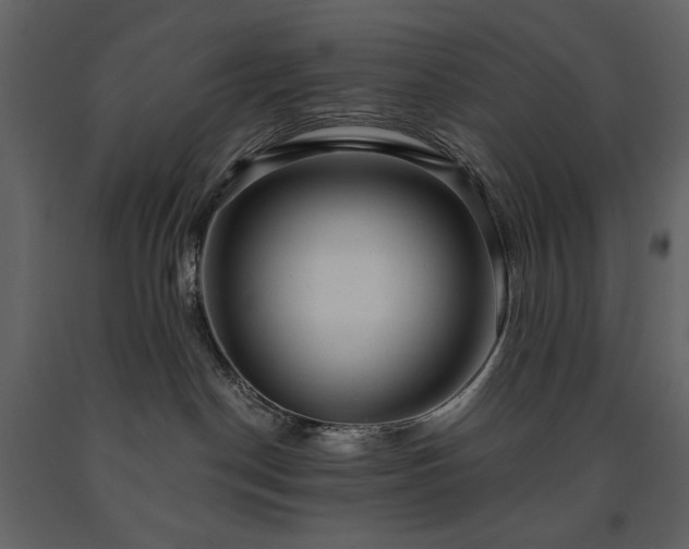 X0000091510190200708241637