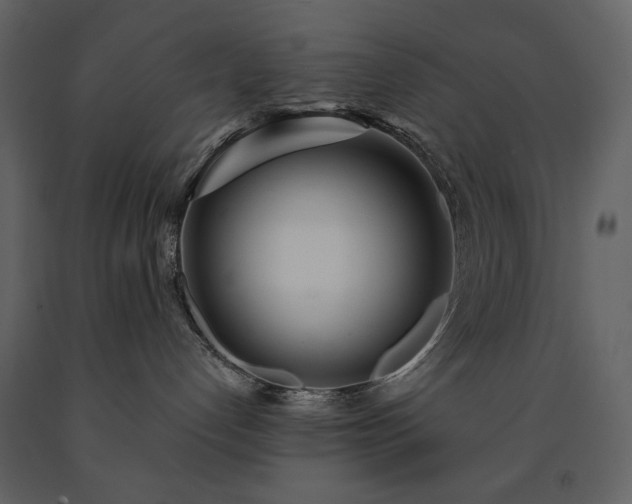 X0000091510192200708241637