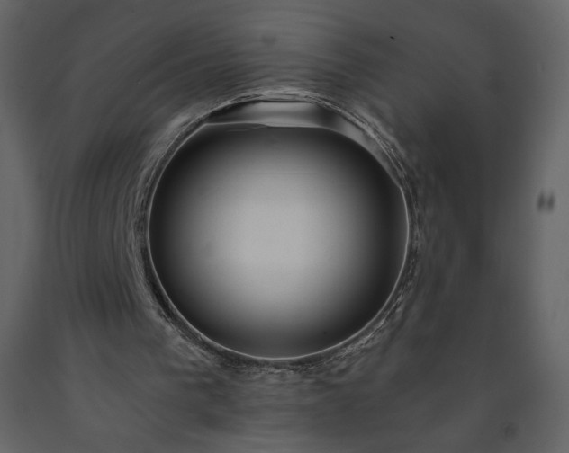 X0000091510193200708241636