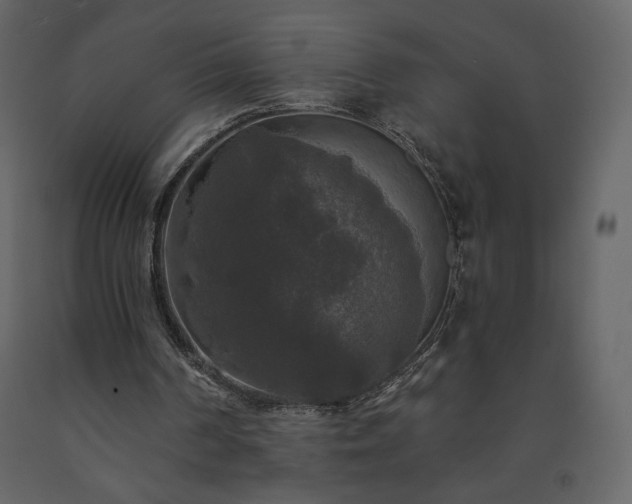 X0000091510194200708241636