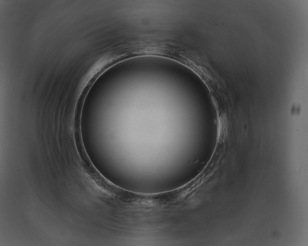 X0000091510195200708241636