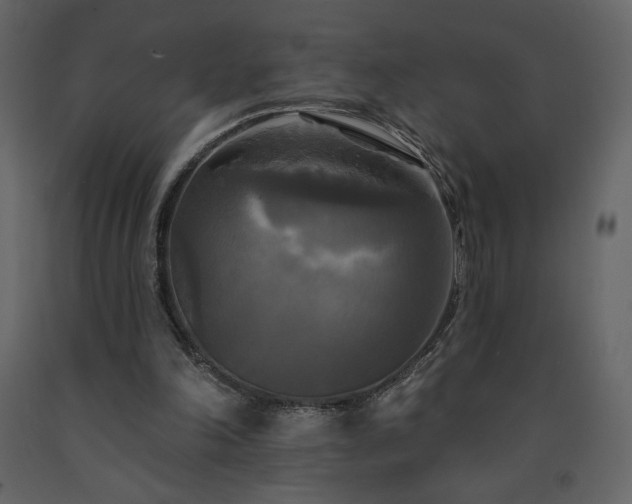 X0000091510198200708241636