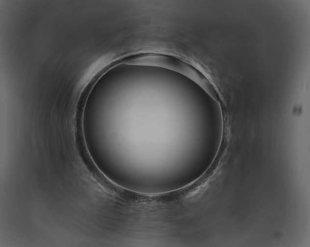 X0000091510199200708241636