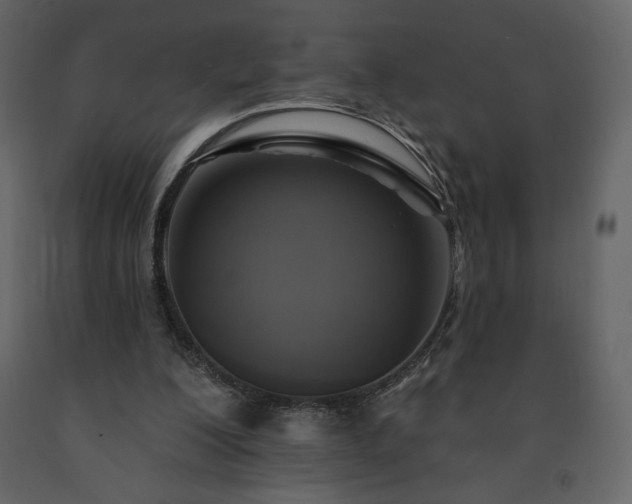 X0000091510200200708241636