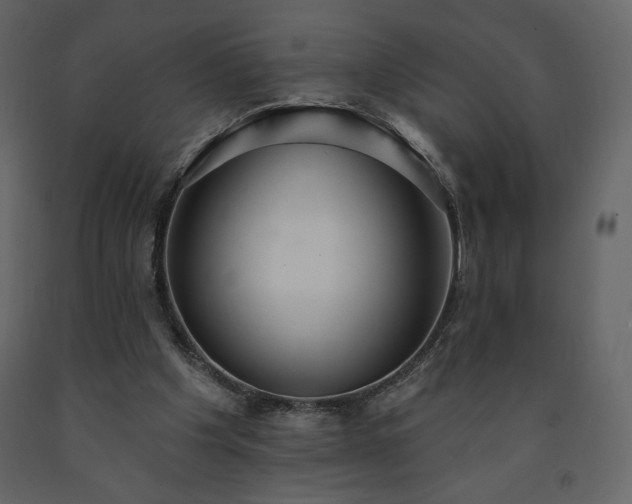 X0000091510201200708241636