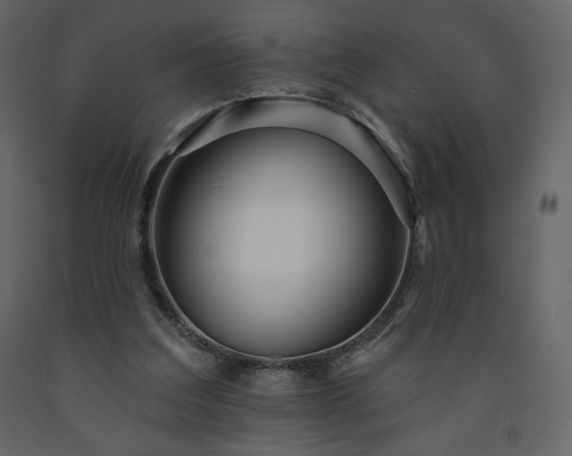 X0000091510203200708241636