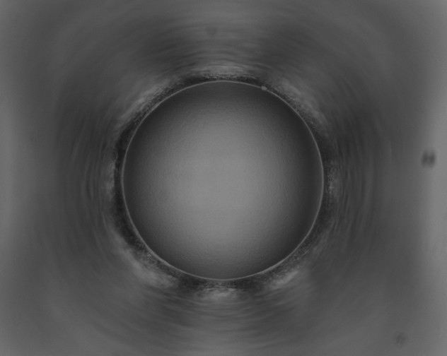 X0000091510206200708241636