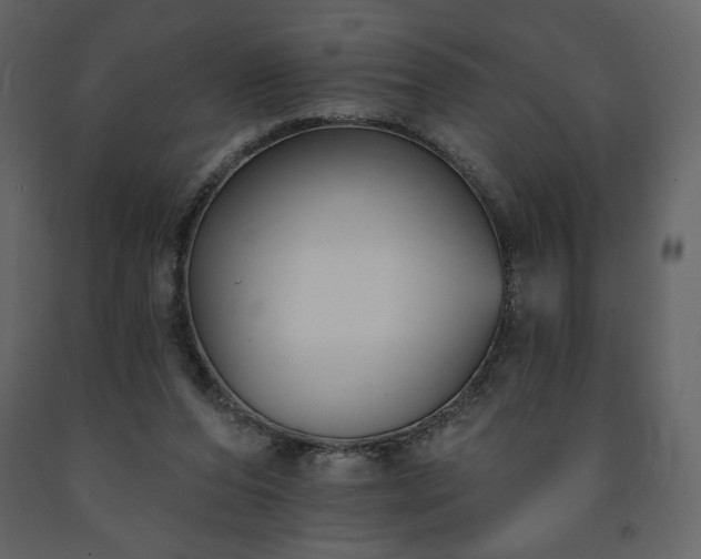 X0000091510208200708241636