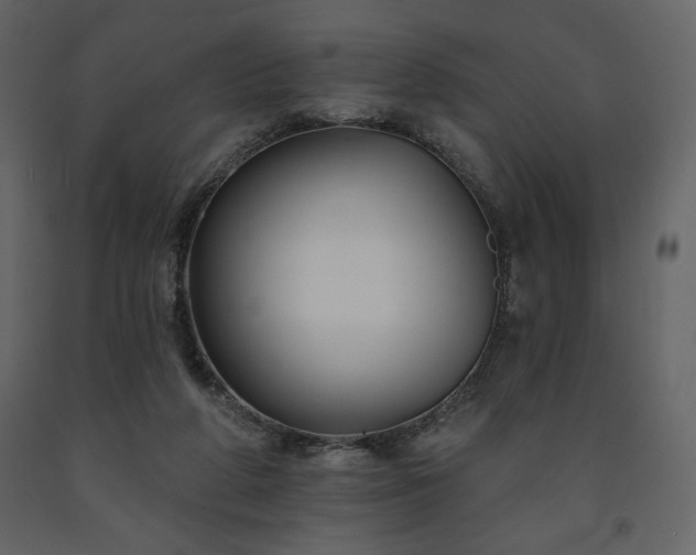 X0000091510210200708241636