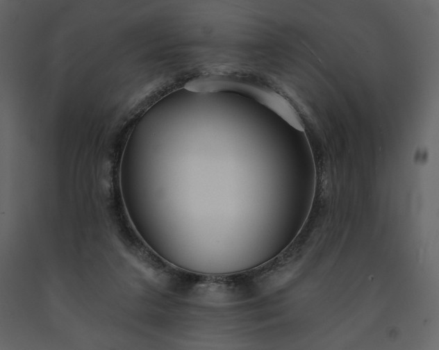 X0000091510211200708241636