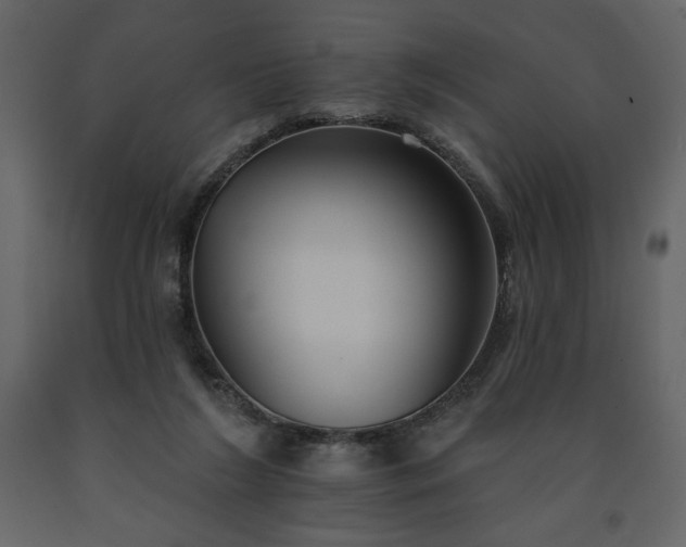 X0000091510212200708241636