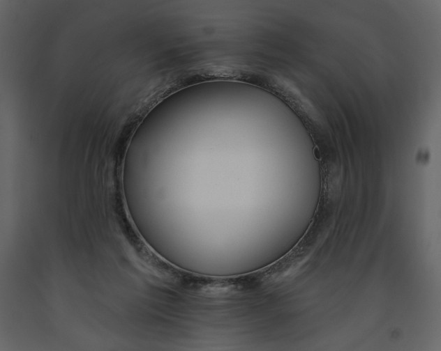 X0000091510213200708241636