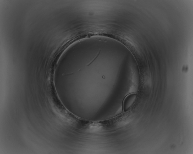 X0000091510214200708241636