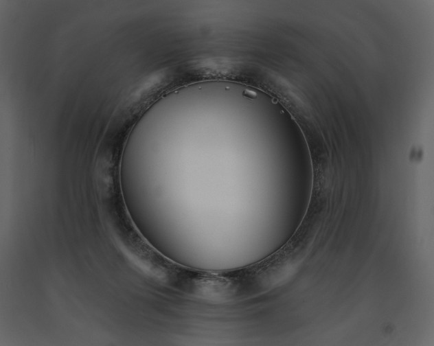 X0000091510215200708241635