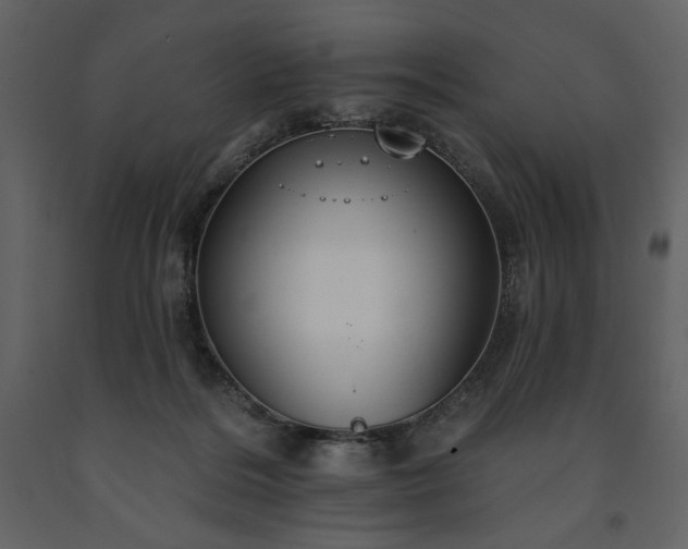 X0000091510220200708241635