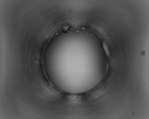 X0000091510221200708241635