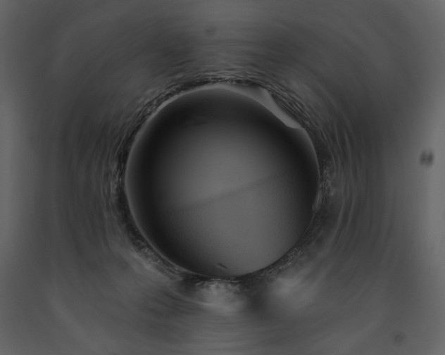 X0000091510223200708241635