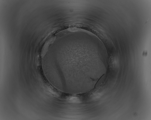 X0000091510224200708241635