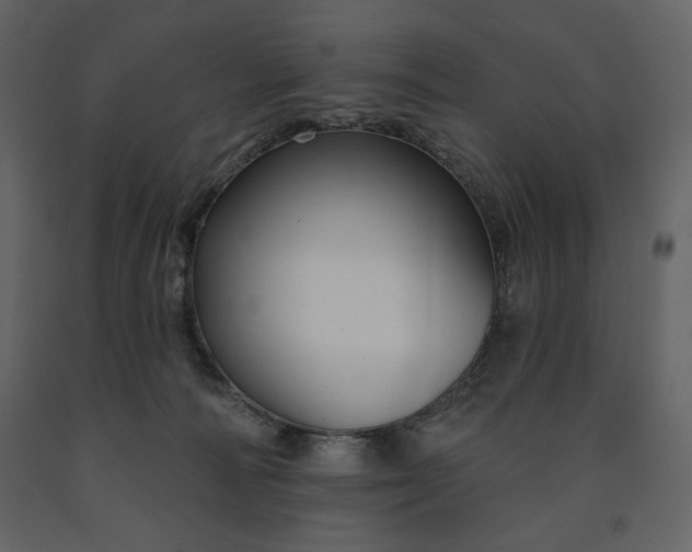 X0000091510226200708241635