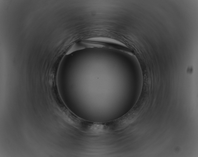 X0000091510227200708241635