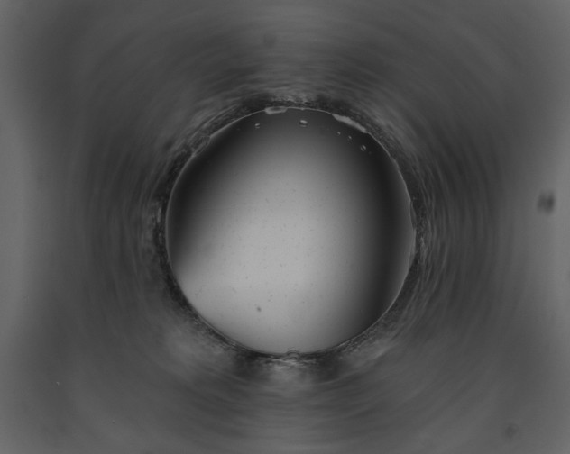 X0000091510229200708241635