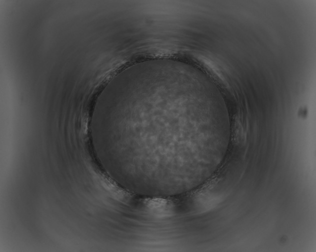 X0000091510230200708241635