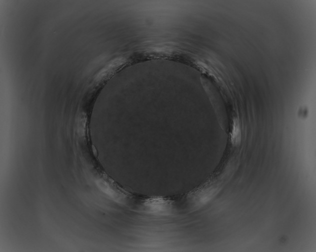 X0000091510231200708241635