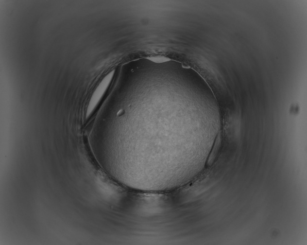 X0000091510233200708241635