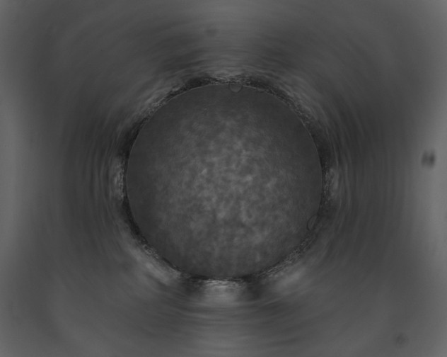 X0000091510234200708241635