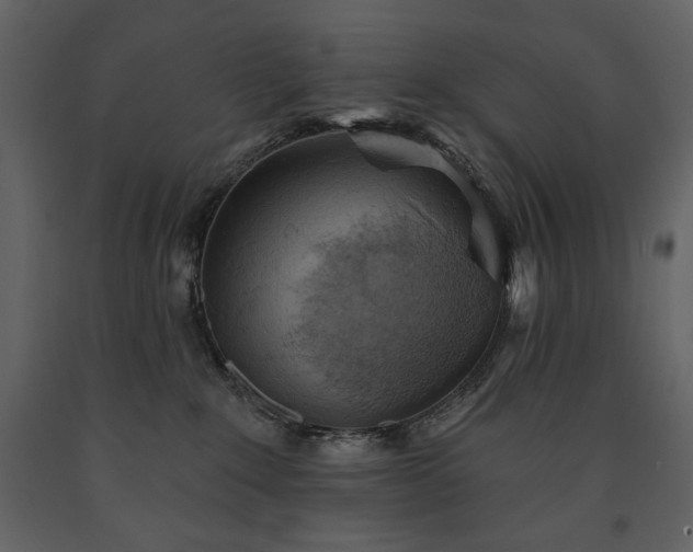 X0000091510235200708241635