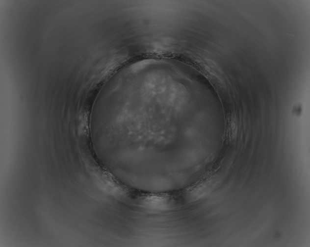 X0000091510236200708241635