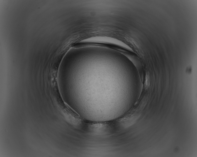 X0000091510237200708241635