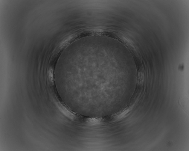 X0000091510238200708241635