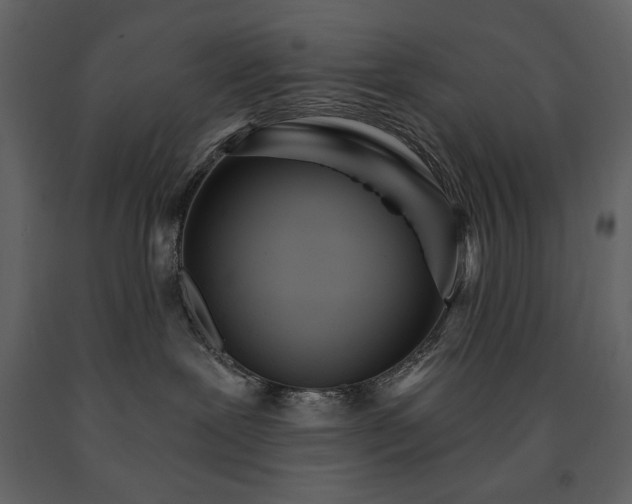 X0000091510239200708241635