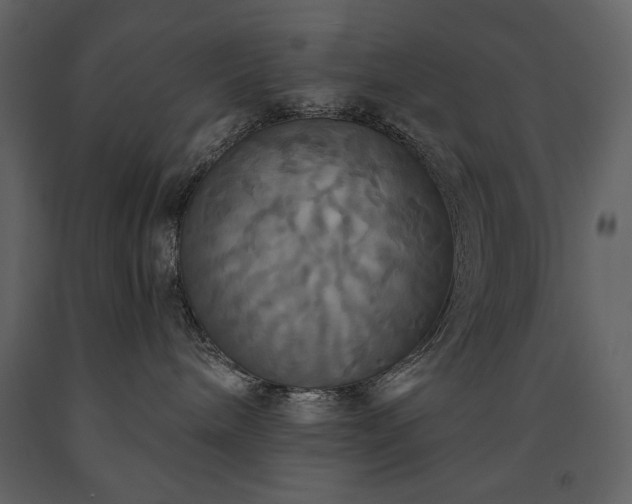 X0000091510240200708241635