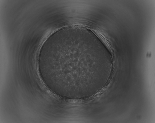 X0000091510241200708241635