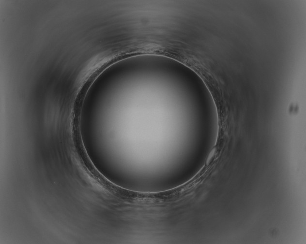 X0000091510242200708241635