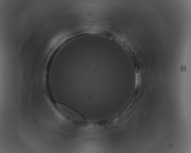 X0000091510243200708241635