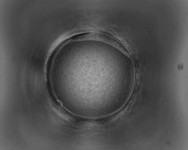 X0000091510246200708241635